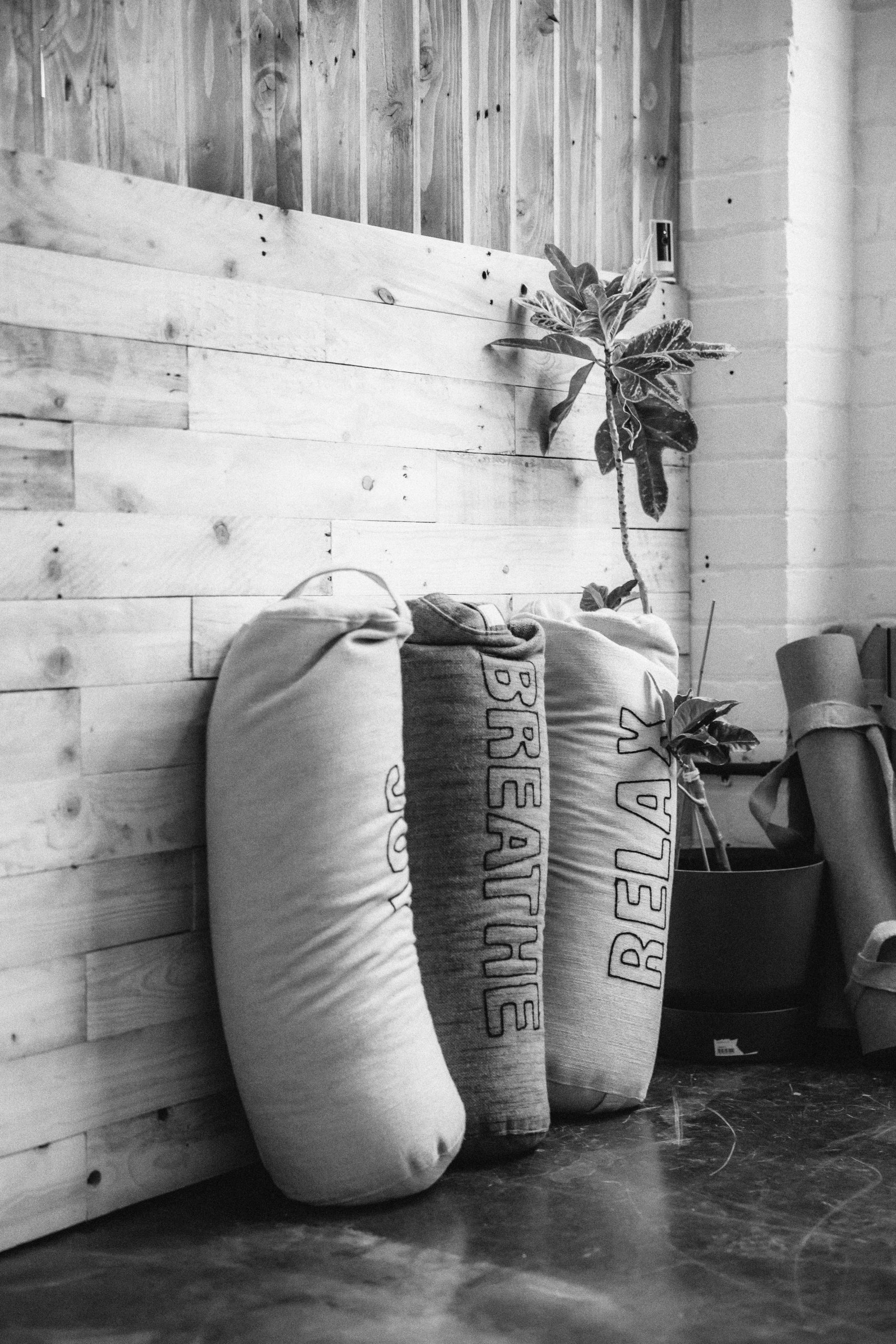 Yoga bolsters surrounded by plants in a bright studio space — somatic yoga for nervous system regulation and embodied awareness.