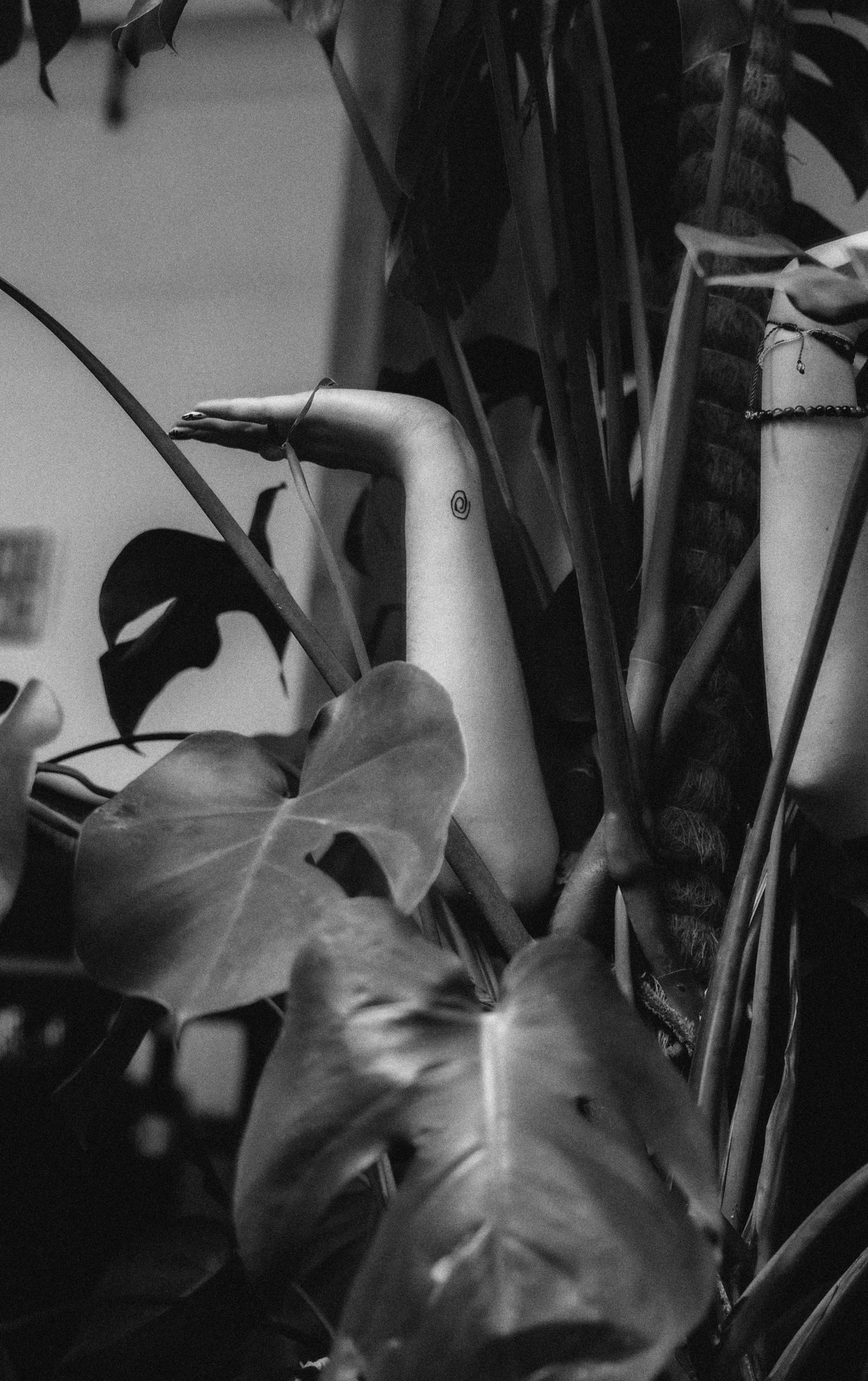 Person practicing slow, intentional movement in a plant-filled studio space — somatic yoga for nervous system regulation and embodied awareness.
